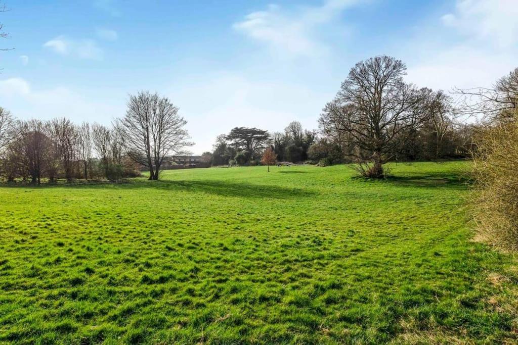 Quiet & Secluded House St Albans